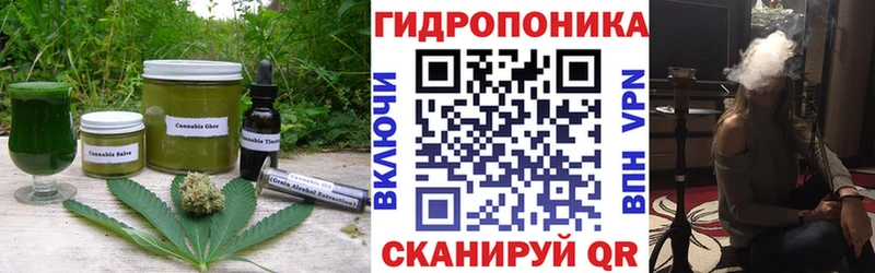 хочу наркоту  Михайлов  Печенье с ТГК конопля 