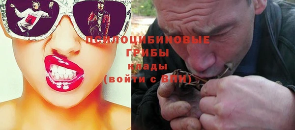 apvp Беломорск