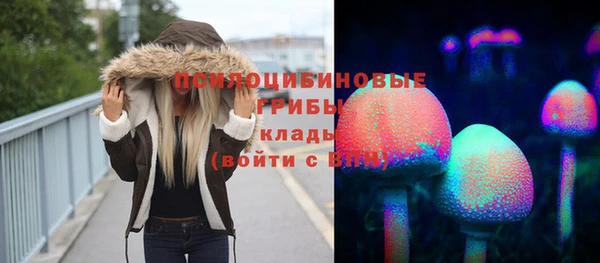 mdpv Белокуриха