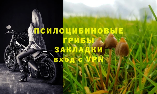 mdpv Белокуриха