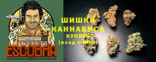 mdpv Белокуриха